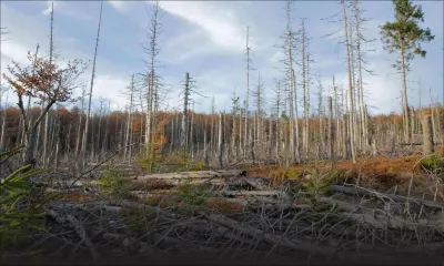 Risques de pluies acides : le Dr Tatayah juge « prématuré de tirer des conclusions »