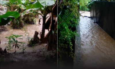 Météo : un avis de fortes averses orageuses en vigueur cet après-midi