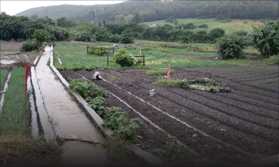 Conséquences des pluies torrentielles : l’AMB importera certains légumes