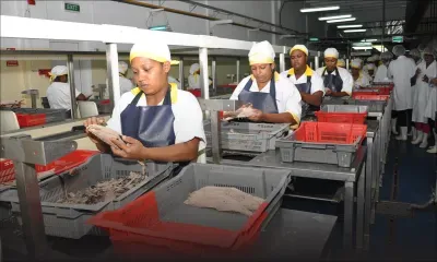 Micro, petites et moyennes entreprises : la pérennité du secteur des PME mise en question 