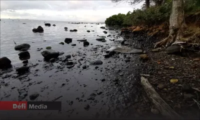 Parlement : l'impact du naufrage du Wakashio et de la Covid-19 sur le tourisme au coeur de la PNQ