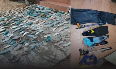  Pêche illégale au Morne : 280 poissons et dix poulpes saisis