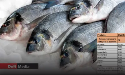 Hôpitaux cherchent… poisson