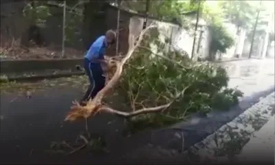 Port-Louis : un policier dégage à mains nues la rue David obstruée par une grosse branche
