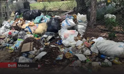 Environnement : vers des peines plus sévères contre le dépôt illégal d’ordures