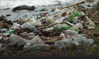 3 653 contraventions dressées par la police de l‘environnement en 2019