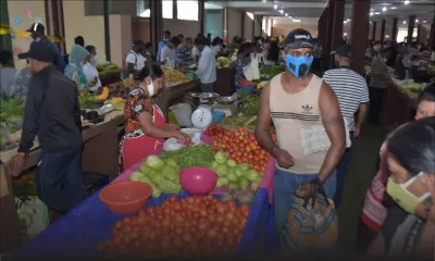 Mercuriale : le prix de la pomme d’amour reprend l’ascenseur