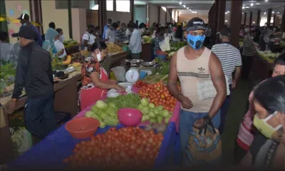 Mercuriale : la pomme d’amour est toujours hors de prix 