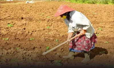 Nouveau réglement : le port du masque ne sera plus obligatoire dans certains secteurs 