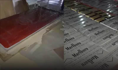 Saisie de 3 200 cartouches de cigarettes : deux personnes arrêtées