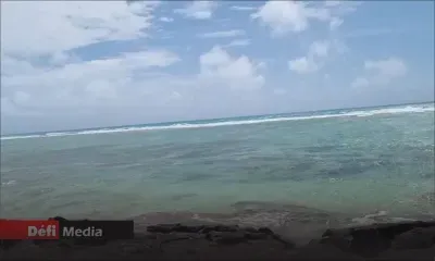 Poste-La-Fayette : une opération anti-pêche illégale dégénère, un hors-bord du Fisheries volé puis retrouvé