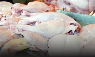 Consommation : le prix du poulet augmente de Rs 11 par kilo
