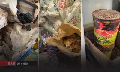 Allégations de manque d'hygiène : quels remèdes pour le service de santé ?