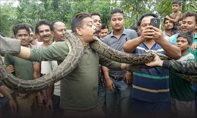 Inde: il pose avec un python et échappe de justesse à l'étranglement