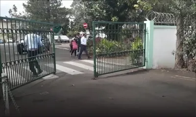 Invasion «de puces» : le QEC restera fermé ce lundi 