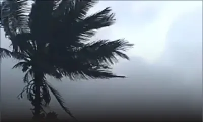  Cyclone Freddy Classe 3 : Floréal sous les rafales et la pluie