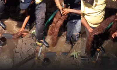 Coupure d'eau pendant cinq jours : un banian... à la racine du blocage d'un conduit