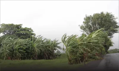 Tempête Calvinia : les plus fortes rafales enregistrées à Plaisance  
