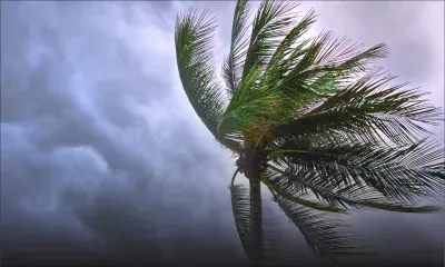 Prévisions météo : des rafales pouvant atteindre 50 km/h attendues dans certains endroits