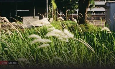 Météo : un assez fort anticyclone s’approche de notre région