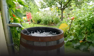 Prévisions météo du 7 décembre : des averses modérées accompagnées d’orages attendues