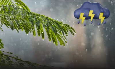 Prévisions météo du 4 novembre : des averses orageuses attendues cet après-midi