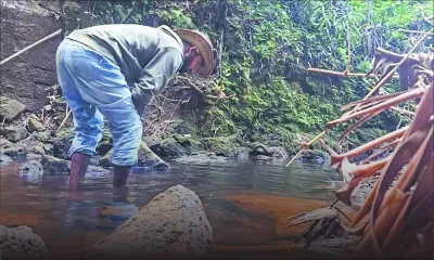 Raja Vencatasawmy : L’homme qui ramène la rivière à la maison