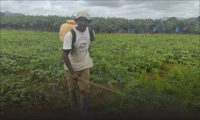 Post-pluies torrentielles : un employé témoigne des dégâts sur les cultures à Cluny