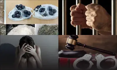 Rapport de Statistics Mauritius : de la drogue valant Rs 1,56 Md saisie en 2024