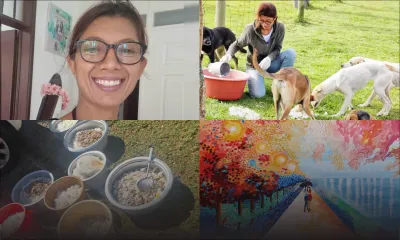 Rashila Ramchurn : l’ange gardien qui nourrit 350 chiens errants 