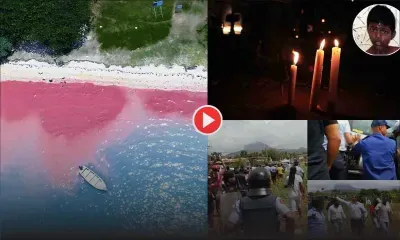 [Vidéos] Ce qu'il ne fallait pas rater