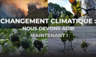 Changement climatique : nous devons agir maintenant !