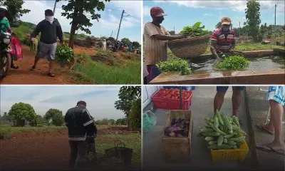 Les consommateurs à l’assaut... des plantations