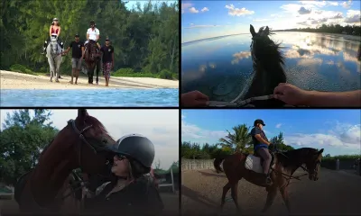 [Reportage] Le cheval, compagnon de route pour se sentir bien dans sa peau 