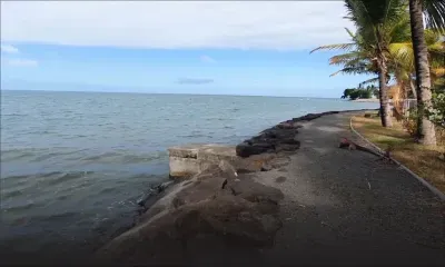 Des requins sèment la terreur dans le Sud-Est