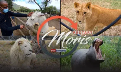 [Restart Moris] Casela mise sur de nouvelles activités pour se relancer