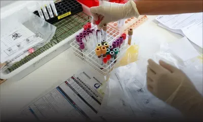 La Réunion: six décès "liés au chikungunya" depuis le début de l'année