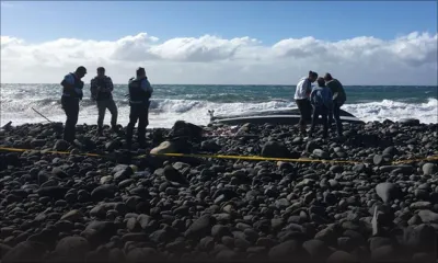 Hors-bord échoué - Convoyage des cigarettes à La Réunion : Kinsley Bhawaneedin incrimine son ami 