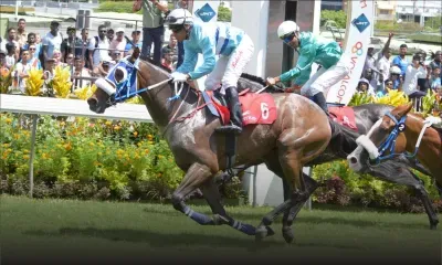 Coup d'envoi de la saison hippique : Right To Tango ouvre le bal