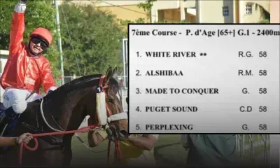 Hippisme : petit champ dans le Maiden 2020