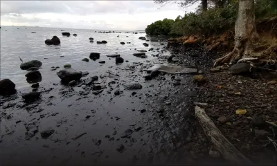 Marée noire : quatre plages prioritaires pour le nettoyage, appel à une collecte de conteneurs pour le ramassage des déchets 