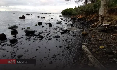 Wakashio : pêcheurs, plaisanciers et 'banians' réclament un « Spill Impact Assessment »