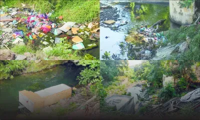 Pollution à Ste-Croix : la lente agonie de la Rivière Latanier