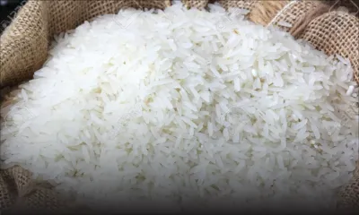 Consommation : STC cherche fournisseur pour 5 500 tonnes de riz