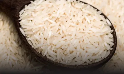 Nouvelle taxe de l’Inde à la hauteur de 20 % : pas d’impact immédiat sur le prix du riz Basmati 