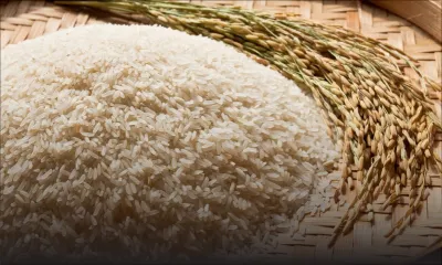 980 tonnes métriques de riz ration attendues d’ici la semaine prochaine