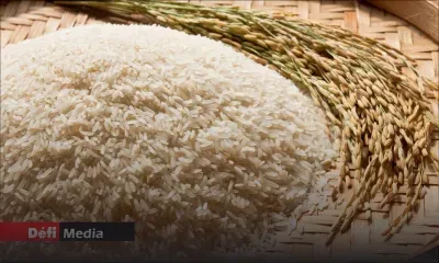 Après de nombreuses plaintes - Riz ration : la STC renforce ses contrôles qualité