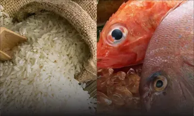 En l’espace de trois mois : 27 000 tonnes de riz et 32 000 tonnes de poisson importées