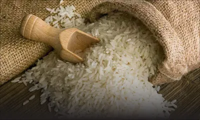 Consommation - Riz basmati : les prix poursuivent leur ascension