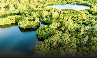 Alternative à la Smart City de Roches-Noires : le Collectif mauricien fait appel à une équipe d’experts internationale